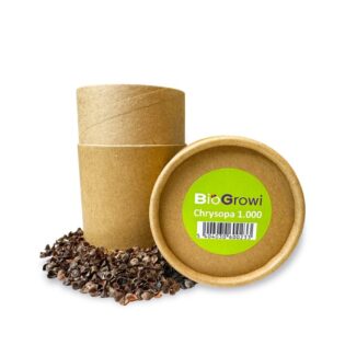 Larven van gaasvlieg tegen bladluis