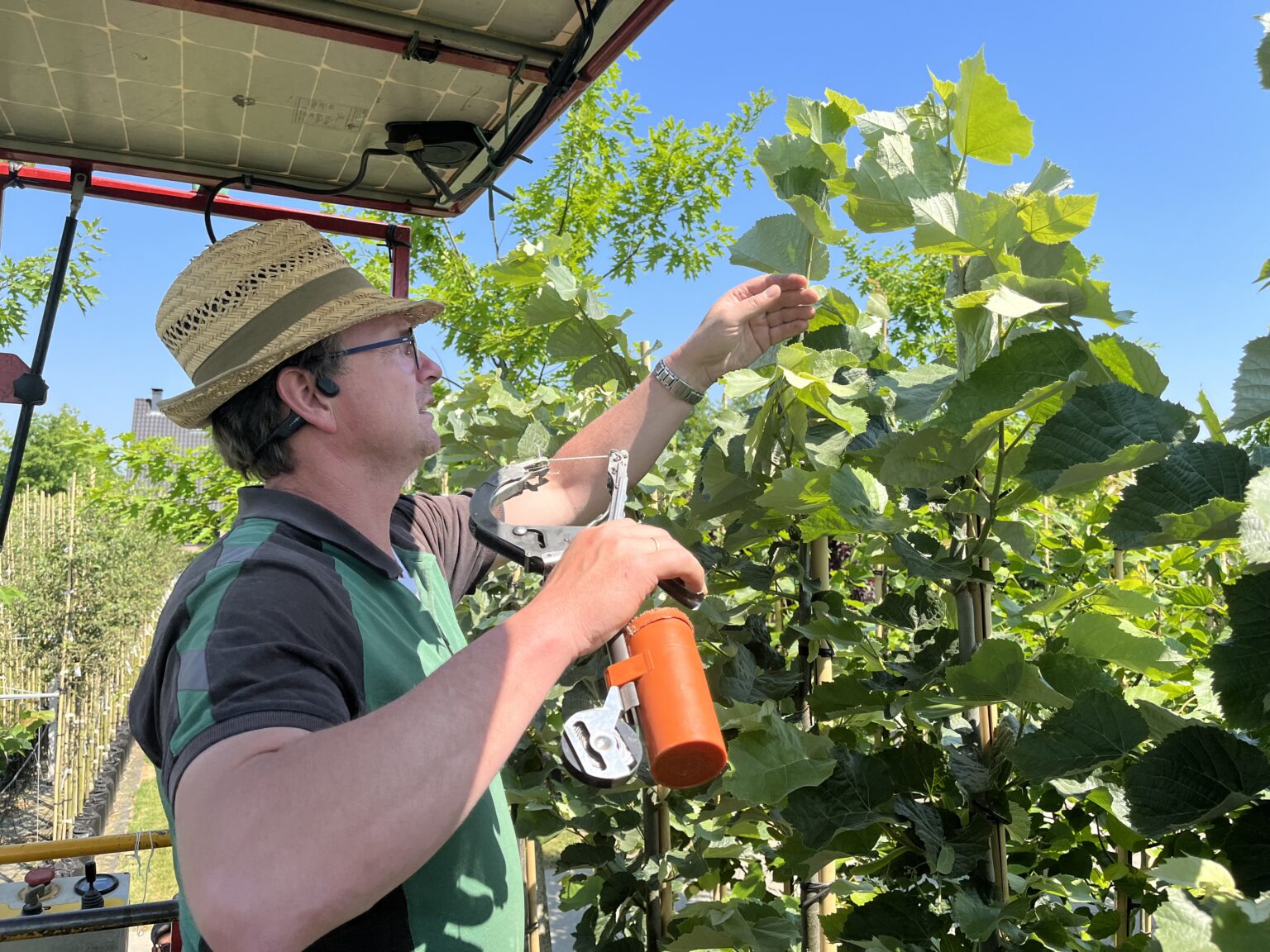 Waarom zijn er zoveel boomkwekerijen in Opheusden? van IJmeren
